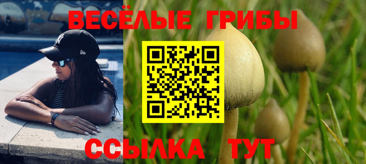 Псилоцибиновые грибы ЛСД  Вход с VPN  Кинель 